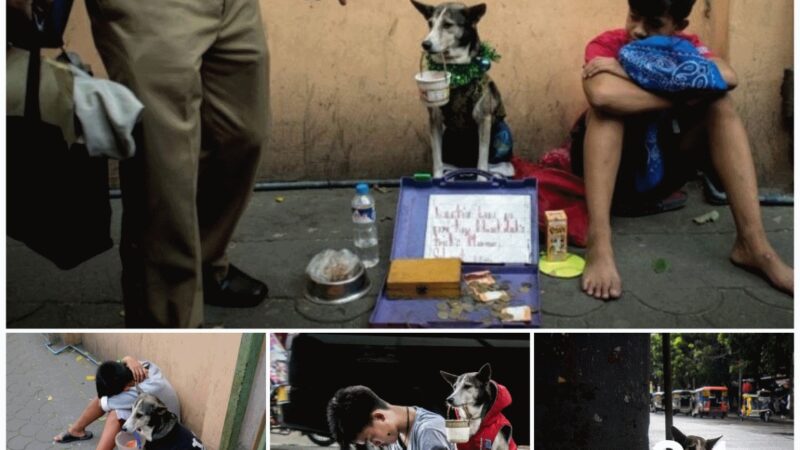 The Touching Tale of a Homeless Boy and His Faithful Dog, Who Never Criticizes His Poor Owner and Always Stays By His Side.