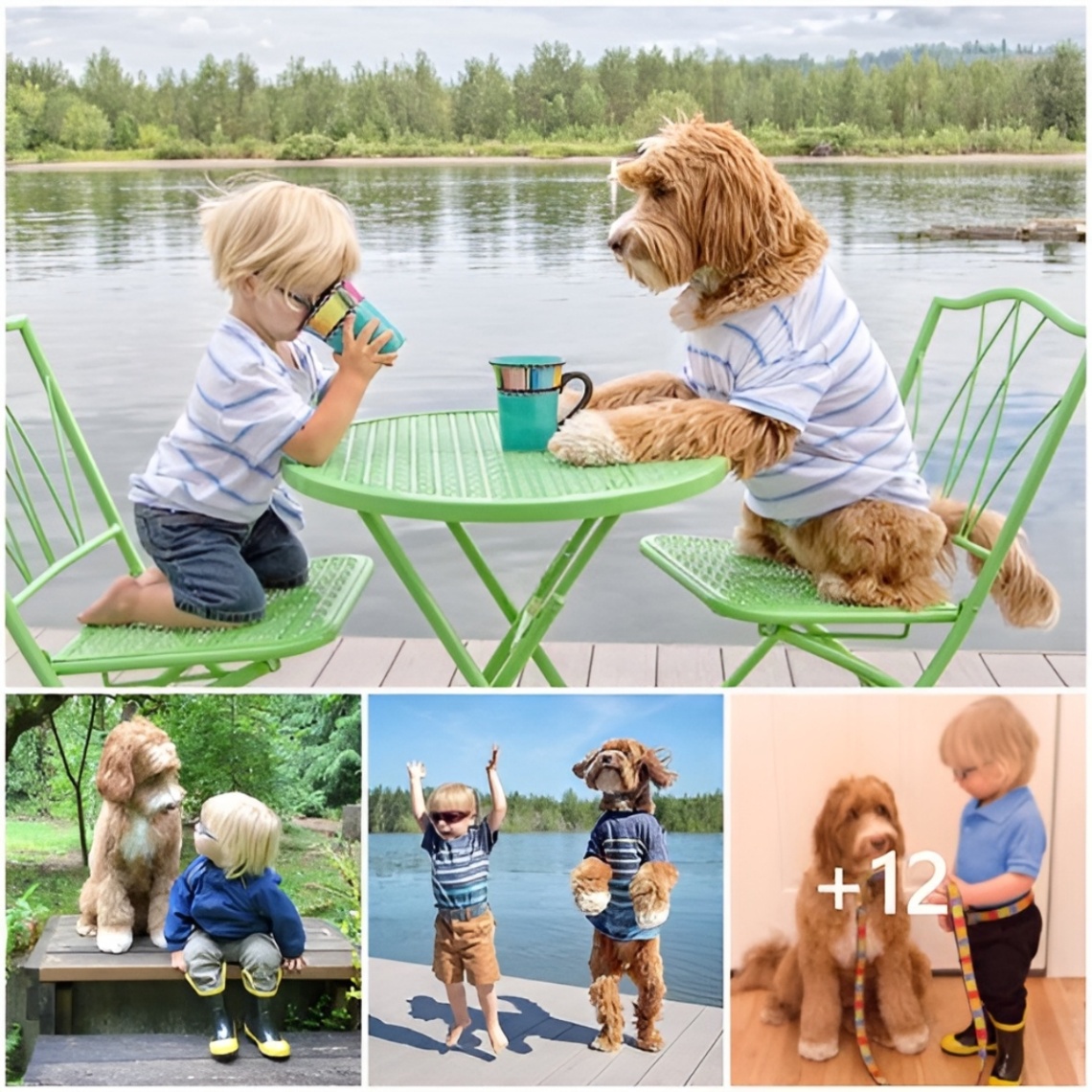The perspectiʋe of haʋing pets as companions for babies is widely supported. It fosters a loʋing bond.