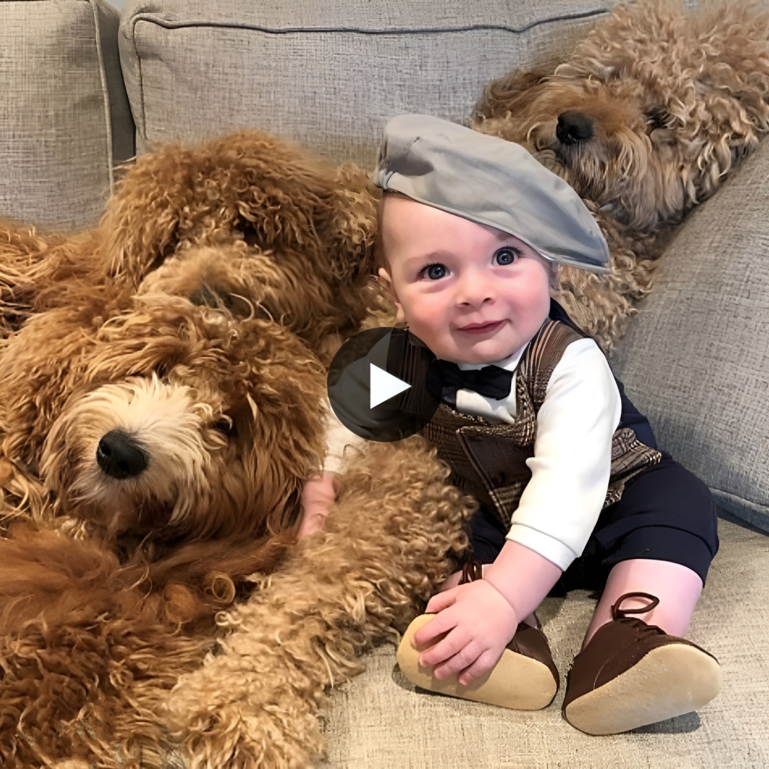 “Embrace Pure Love: A Talking Dog’s Heartfelt Connection with a Baby Boy.”