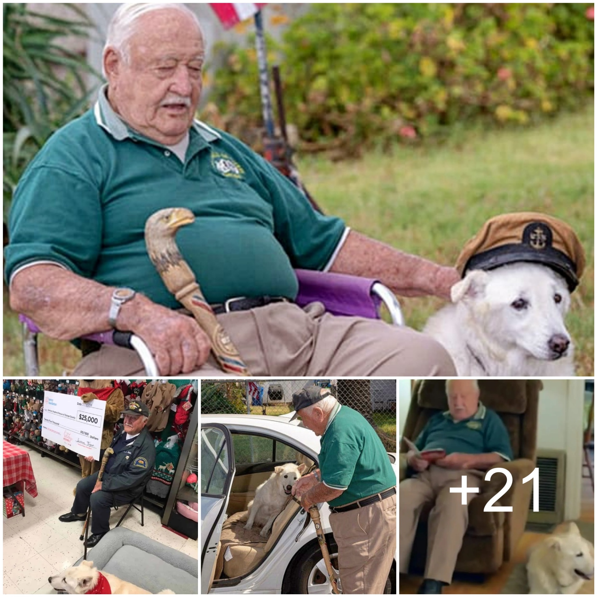 A Tale of Compassion and Second Chances: Elderly German Shepherd Faces Imminent Euthanasia at Shelter, Rescued by Veteran’s Heroic Intervention Just in the Nick of Time