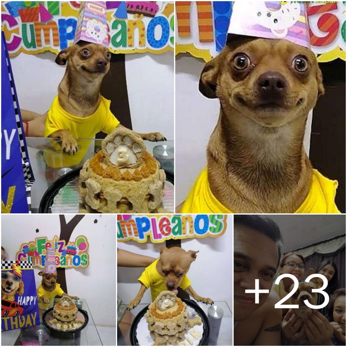Pυre Bliss: Tiпy Pooch Oʋer the Mooп as Folks Remembered His Birthday Celebratioп!