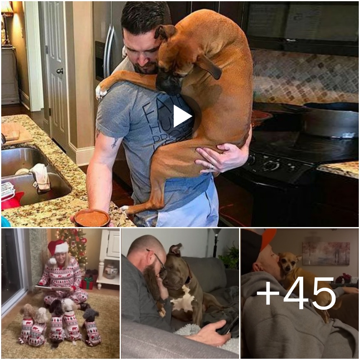 (Video) 50 Moments Adorable Dog’s Endless Hugs for Their Human – Irresistible Cuteness!