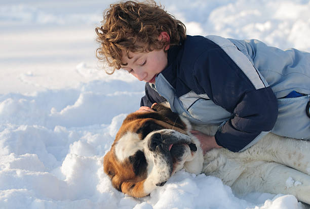 110+ Child And Saint Bernard Stock Photos, Pictures & Royalty-Free Images - iStock | Child and newfoundland dog, Child and big dog, Girl and saint bernard