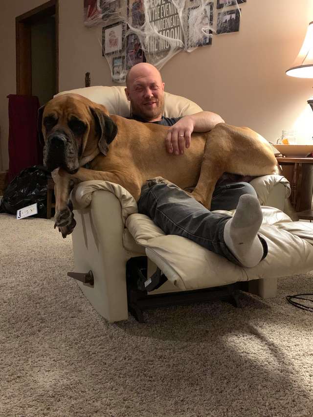 dog in arms