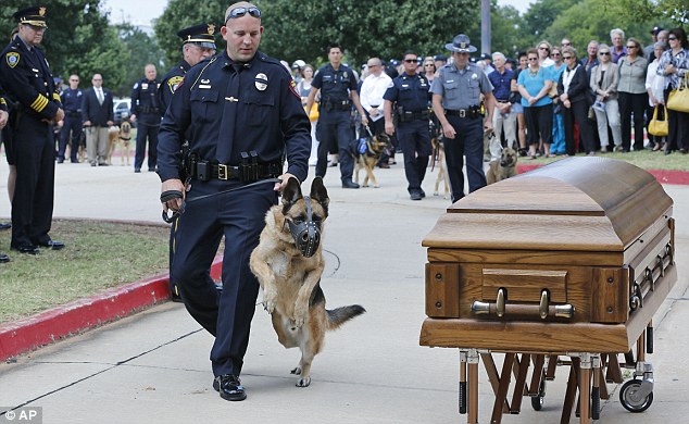 Brotherhood: Canine officers and their handlers from around the state stopped at the casket that held Kye following funeral services for the dog