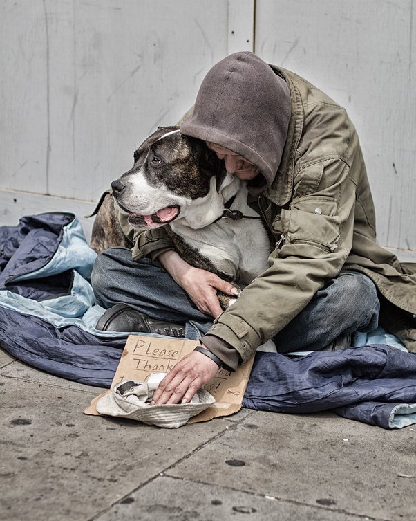 Why do lots of homeless people have dogs? - Quora