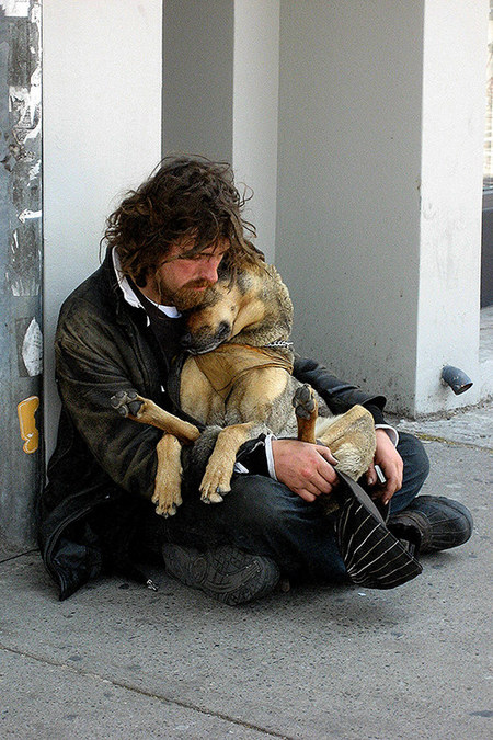 Helping Pets of the Homeless During the Holidays