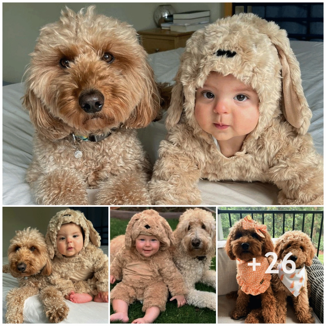 Perfect companions: dogs and babies; best friends with similar fur coats; growing up happily together.