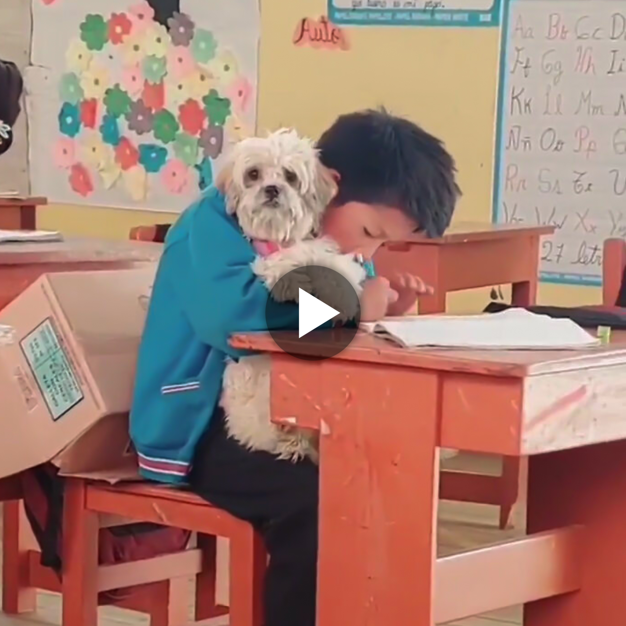 Thought the teacher would not permit the student to bring his puppy to school, the student insisted on doing so, but how could he resist the adorable nature of their friendship?