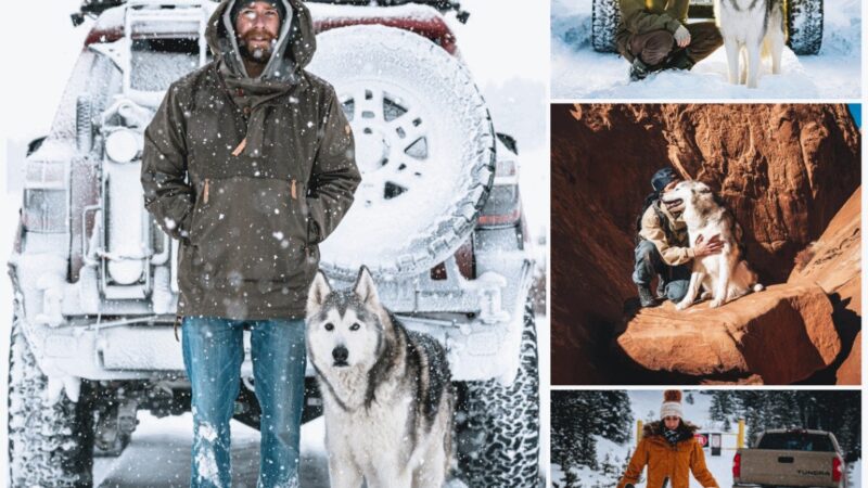 Meet the Husky dog ​​who loves to go on adventures with his father on a journey of discovery.