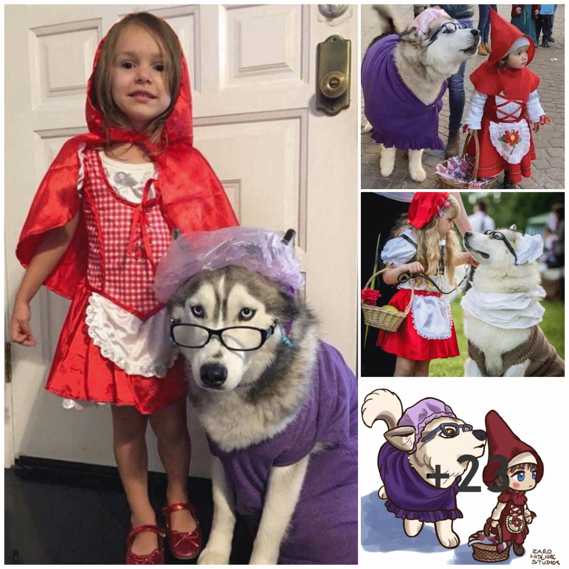 The makeup of Little Red Riding Hood and the Husky “wolf” was so adorable that it created a frenzy in the online community.