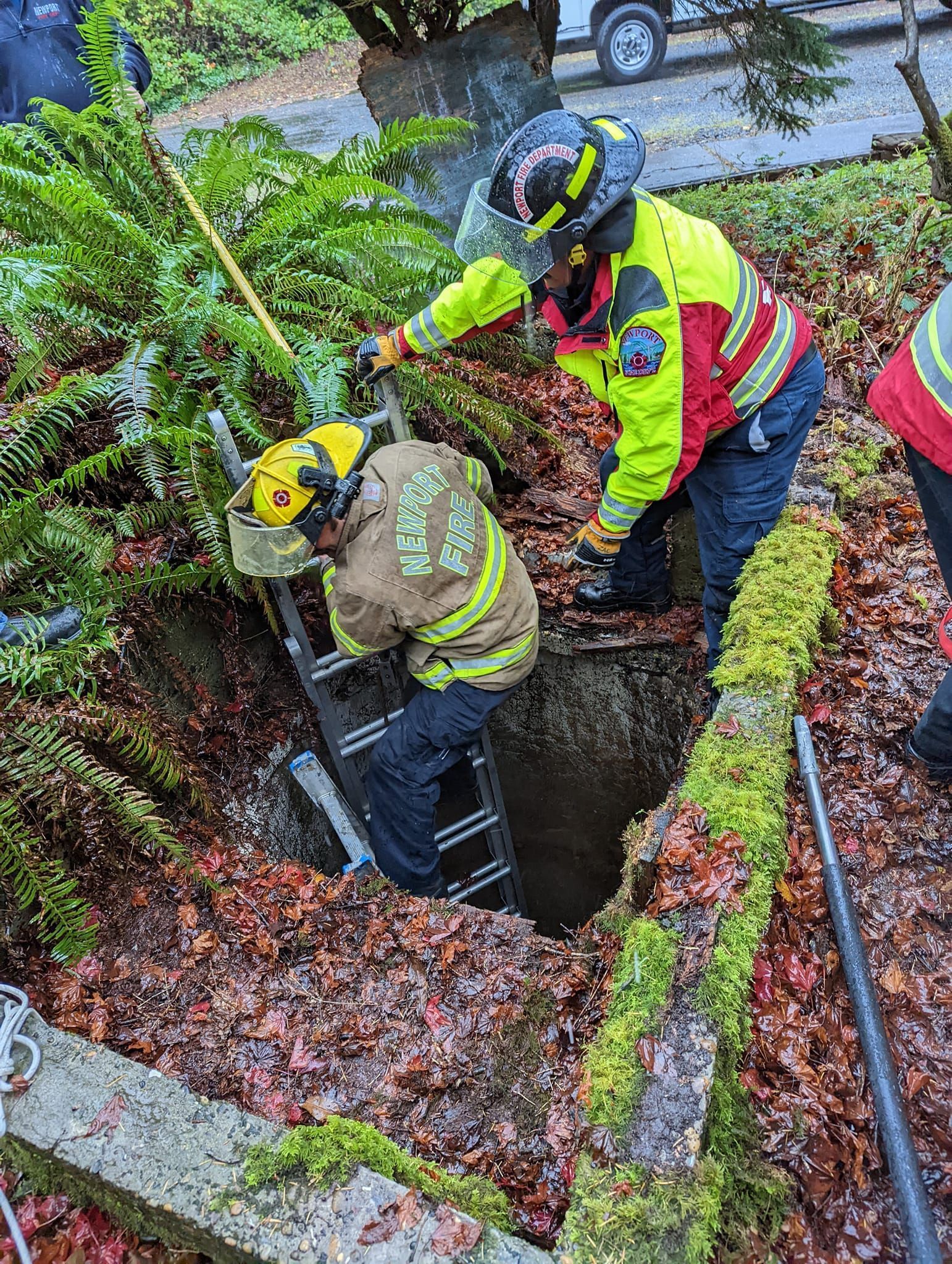 Firefighters rescue 'good boy' who fell down well in Newport photo 4