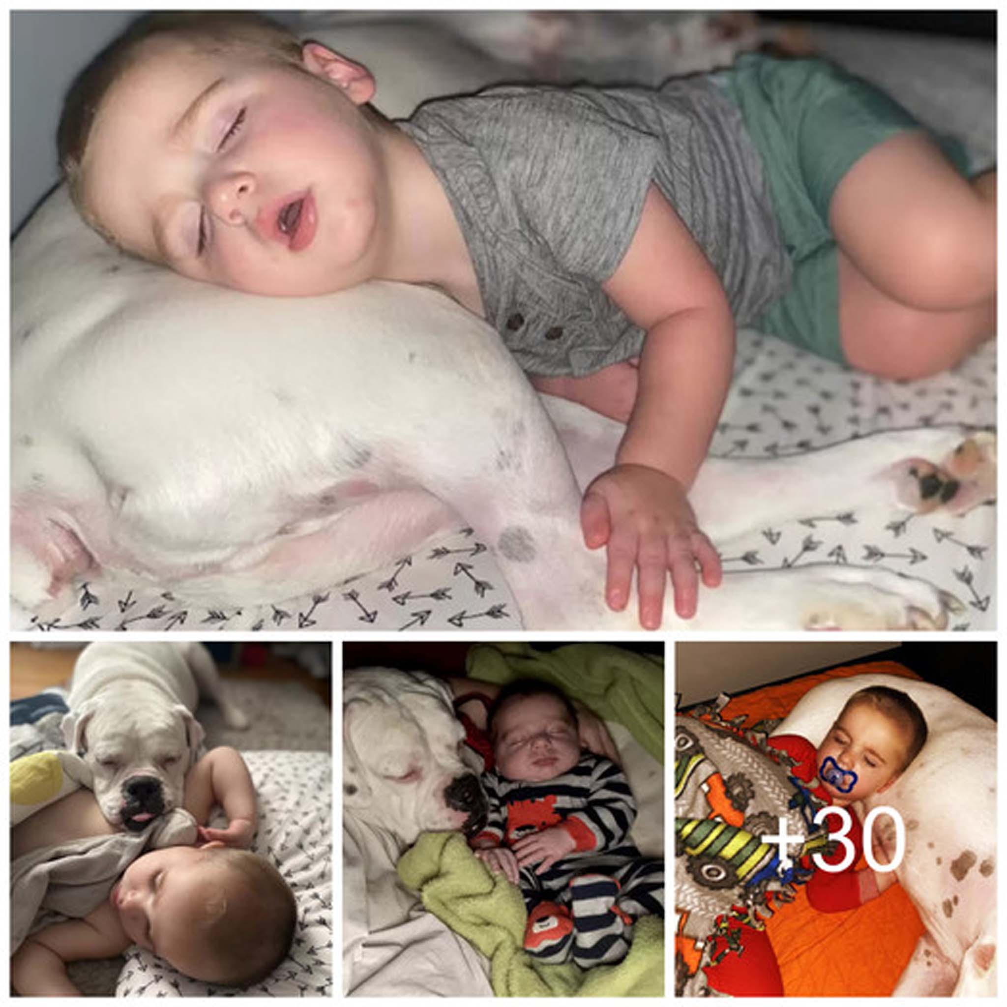 “Unbreakable Bonds: Warm moments between children and their furry companions that are inseparable even during sleep.”