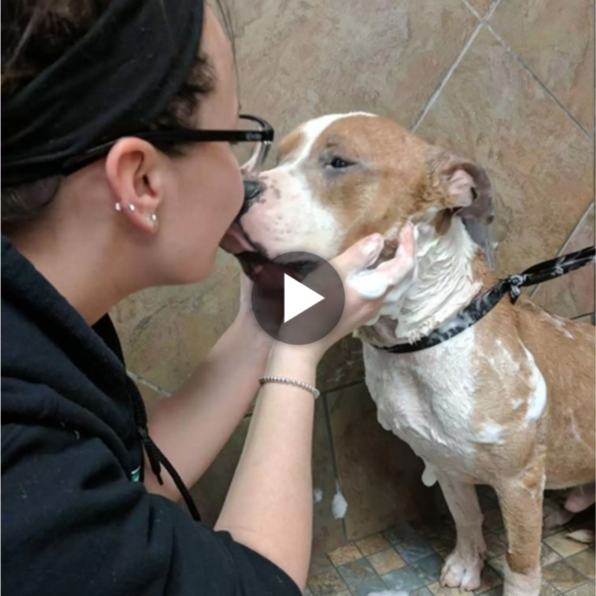 tho “After adopting a forlorn Pitbull from a shelter, a woman witnesses the dog’s overwhelming gratitude as he expresses it through constant and affectionate hugs, showcasing the deep bond formed between them.” tho