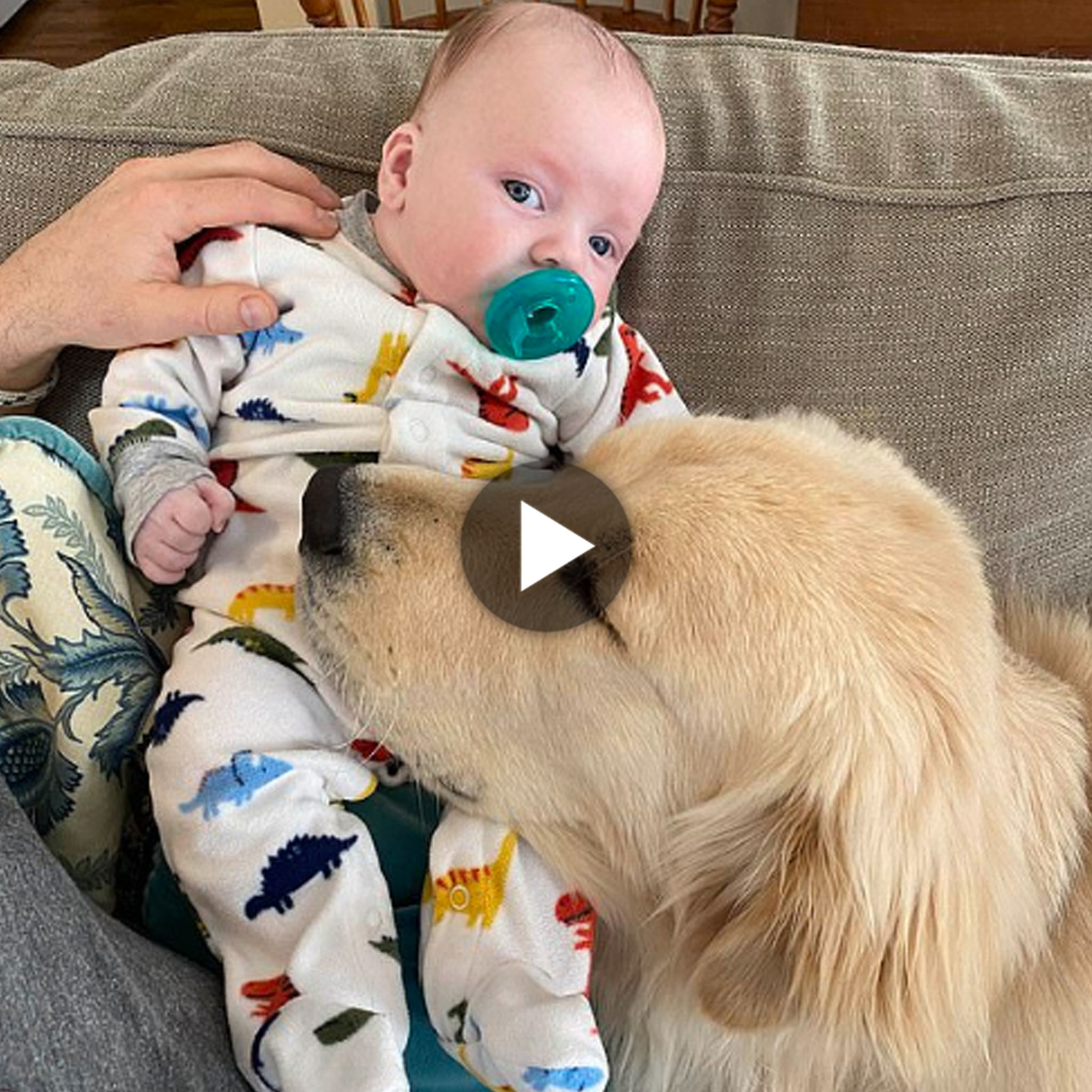 tho “An endearing video captures the heartwarming bond between a dog and his human baby brother, showcasing their adorable friendship.” tho