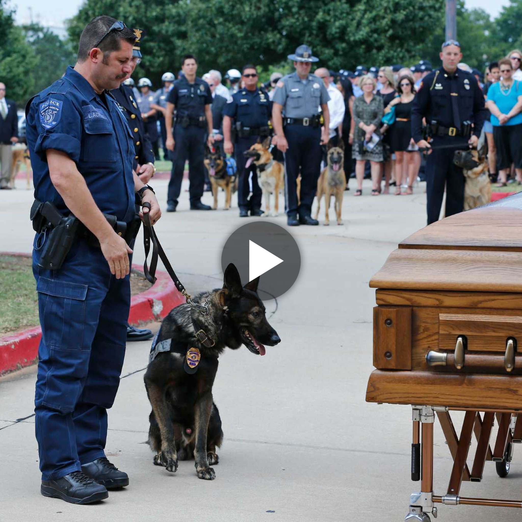 Four-legged hero: The Oklahoma K-9 police dog killed while on duty received a full funeral, bringing tears to many attendees.