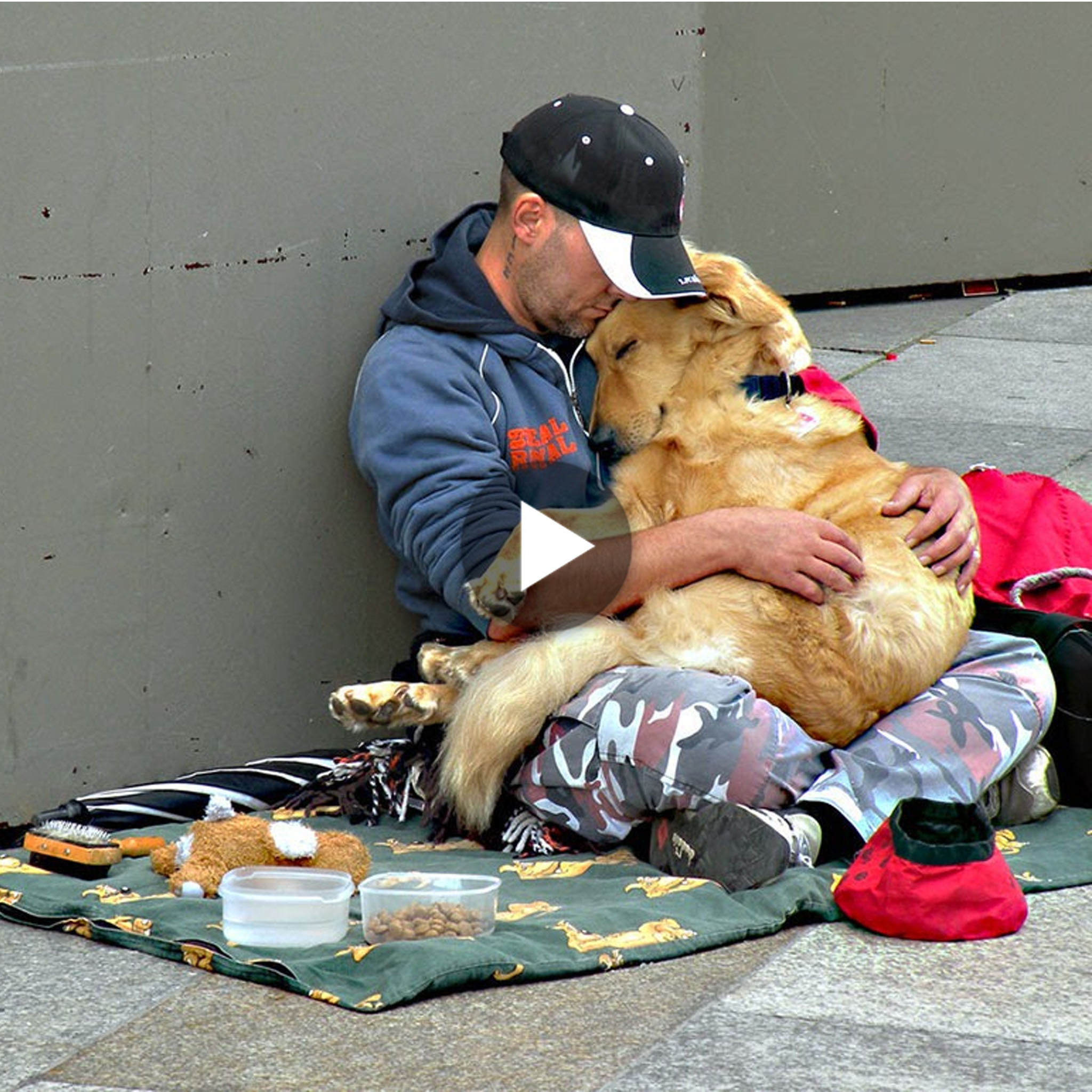 tho “Not Alone in Homelessness: A Dog’s Loyalty Warms Hearts Amid Difficult Circumstances, Touching the Audience” tho