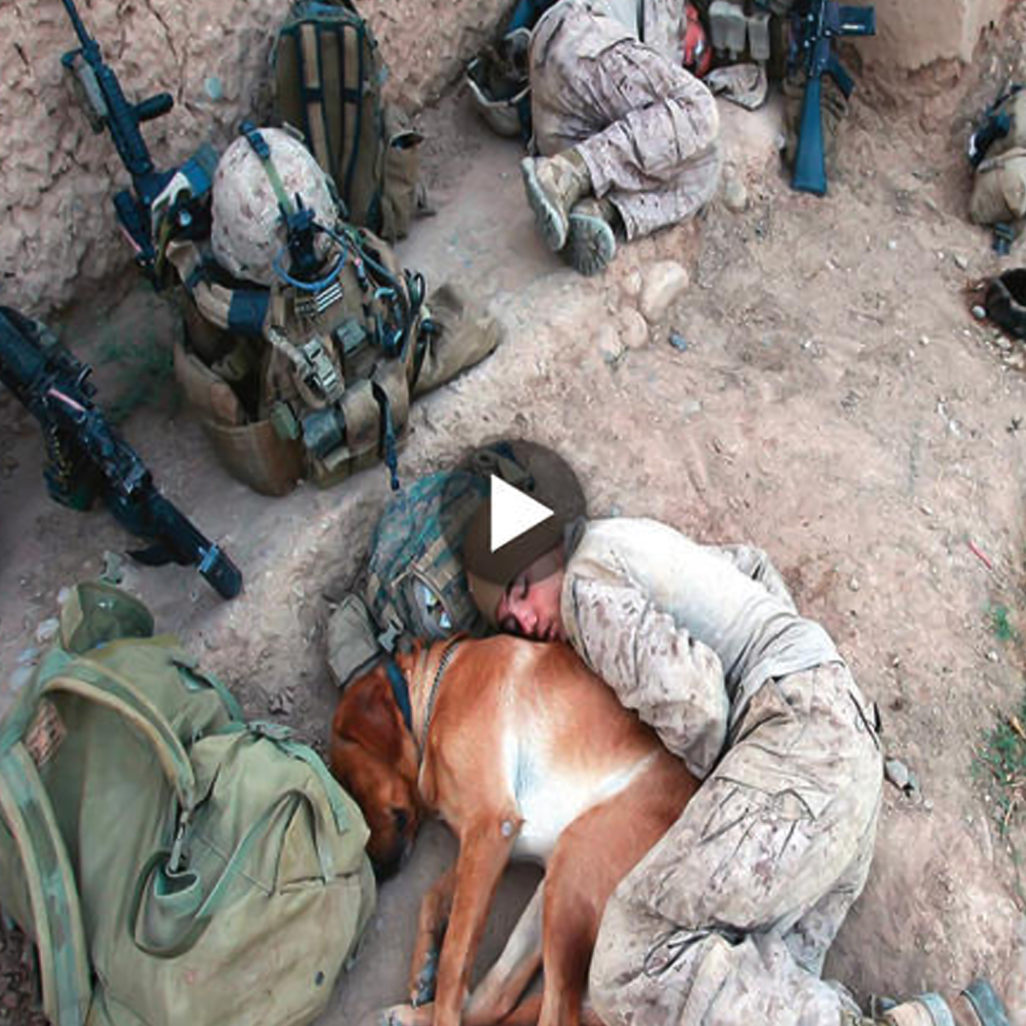 The touching tale of a devoted dog and a soldier is shown in a heartwarming nap captured on camera, illustrating the strong bond of unconditional love that warms the hearts of millions of people worldwide. ‎