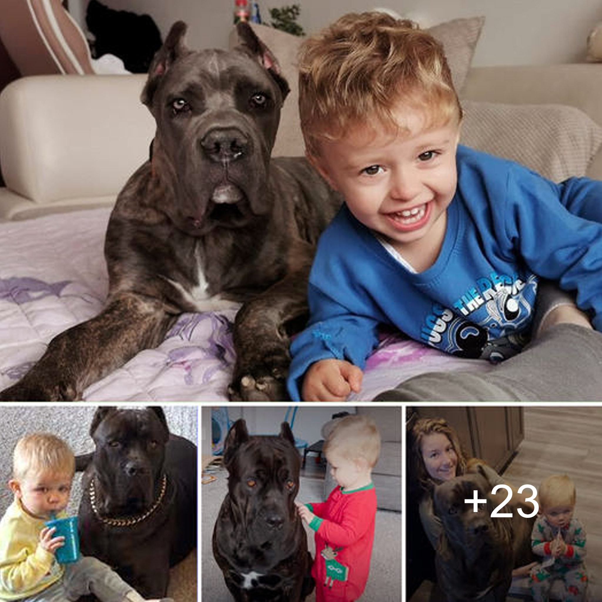 “Growing Up Together: Baby and Loyal 125-Pound Dog Forge an Unbreakable Bond”