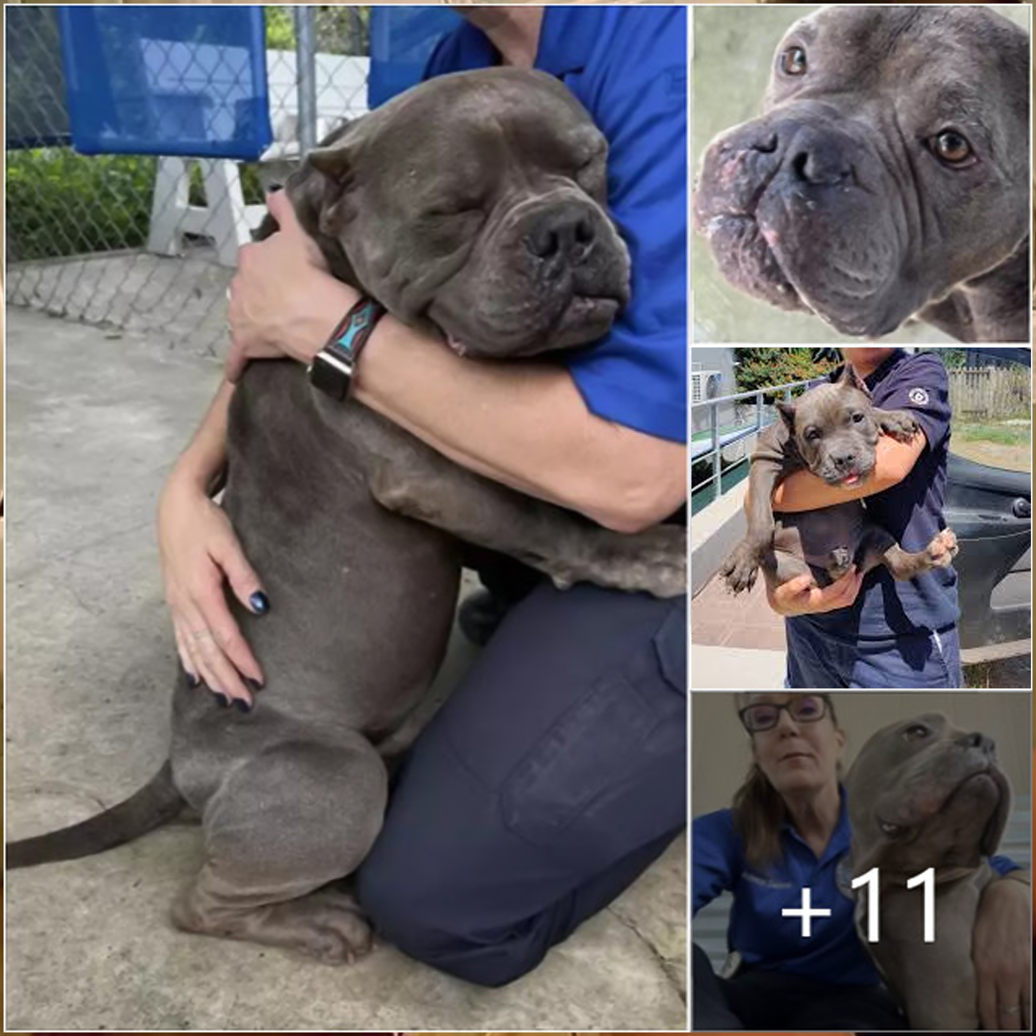 A grateful shelter dog gives his rescuers heartfelt hugs as a way of saying thank you.