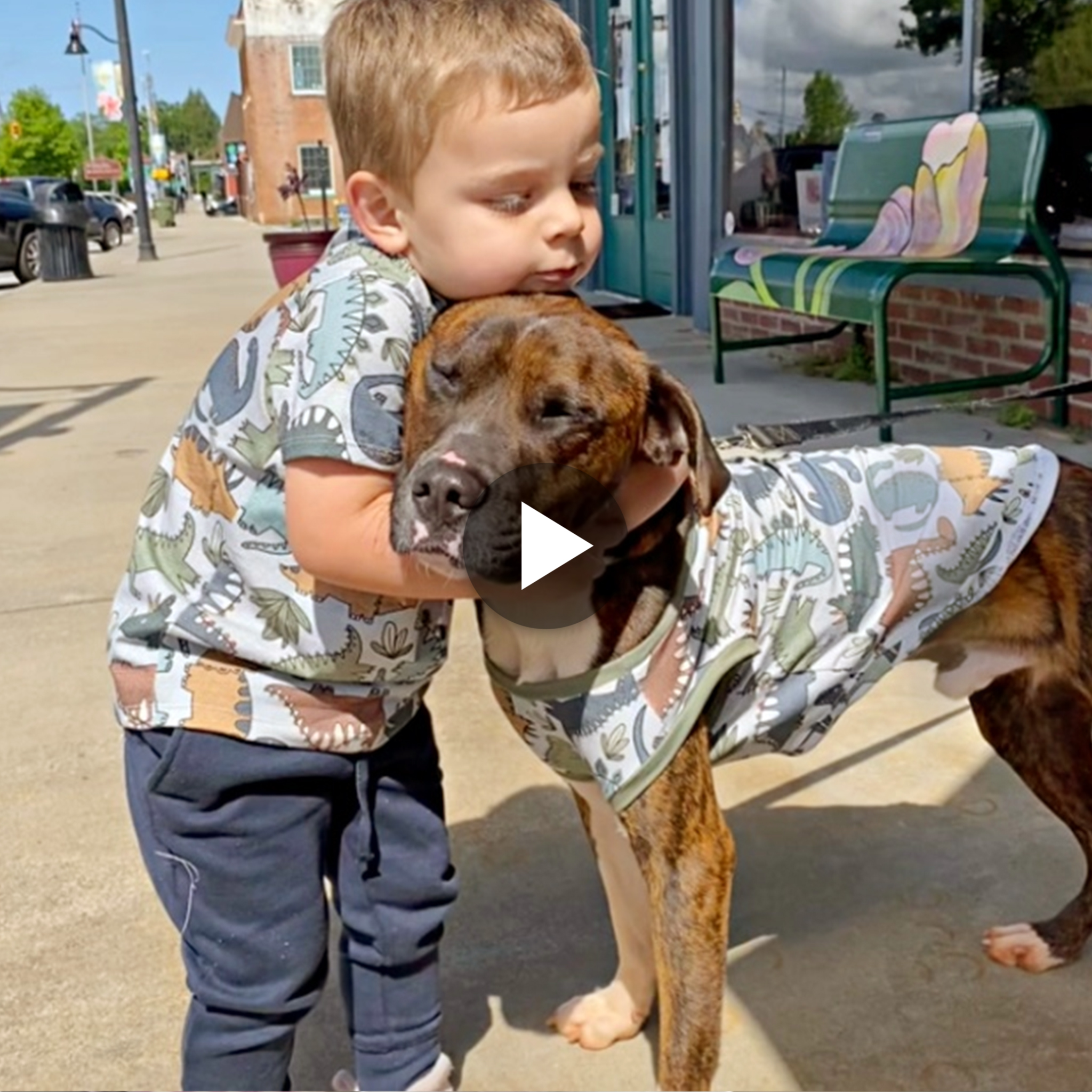 Compelling Cuteness: Mom Strategically Buys Matching T-Shirts for Baby and Dog, Hoping to Convince Dad to Adopt the Four-Legged Friend (VIDEO).