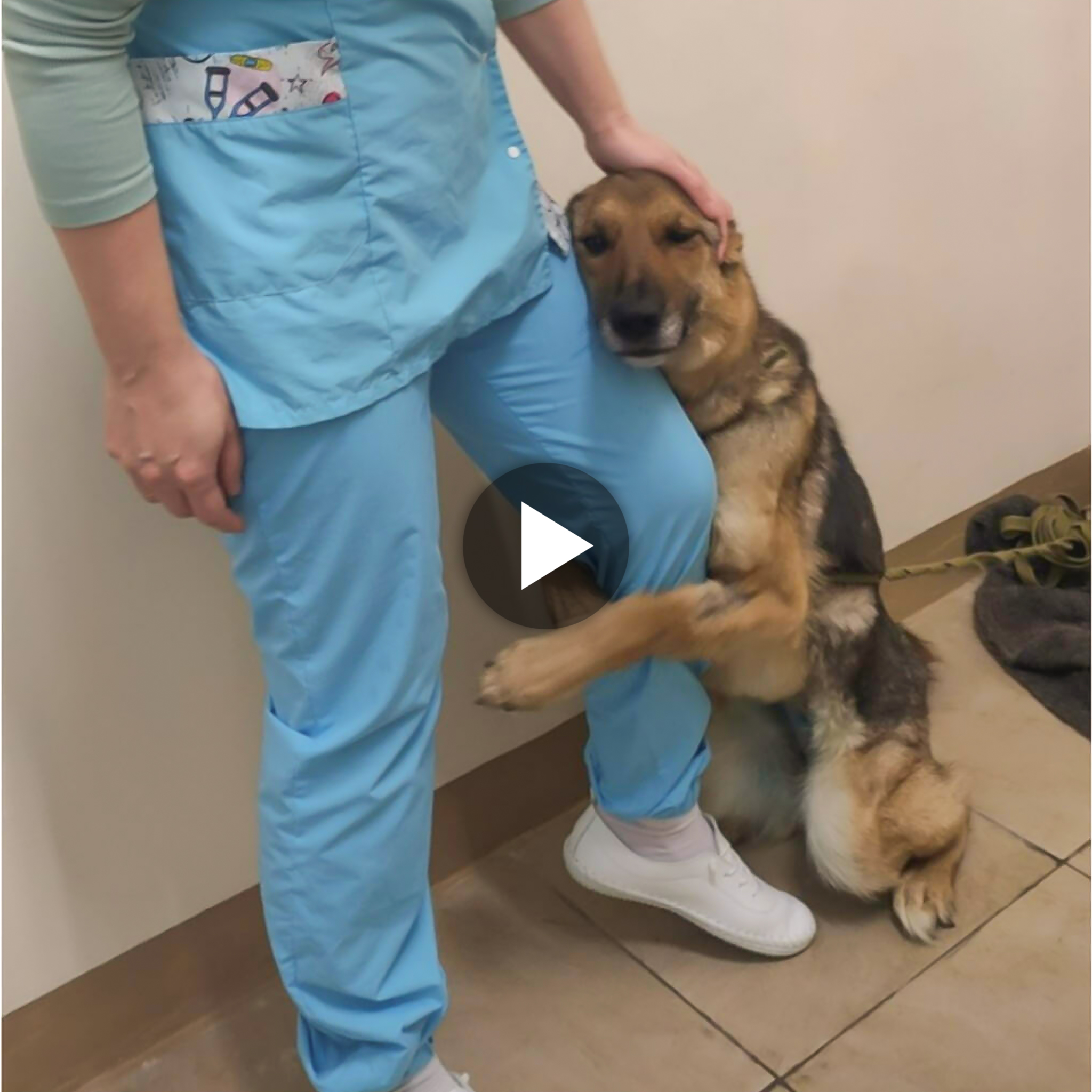 After being separated for more than three years, a devoted dog and its caring owner were happily reunited at the shelter; their heartfelt hug warmed the hearts of millions of people worldwide. ‎
