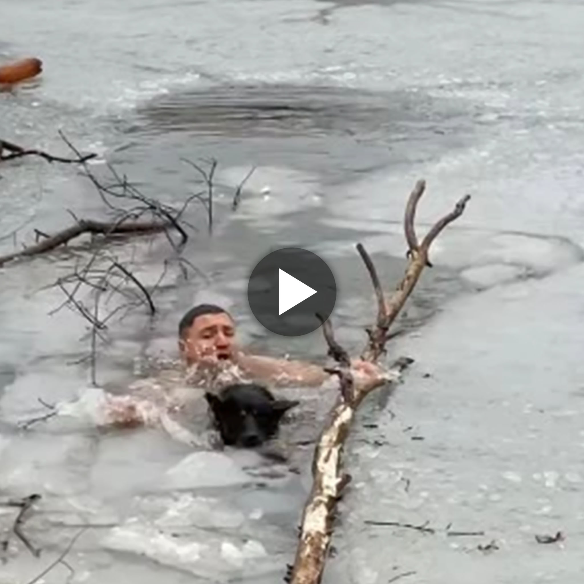 Brave man dives into icy lake to save a trapped dog, videos make viewers hold their breath in suspense (VIDEO)