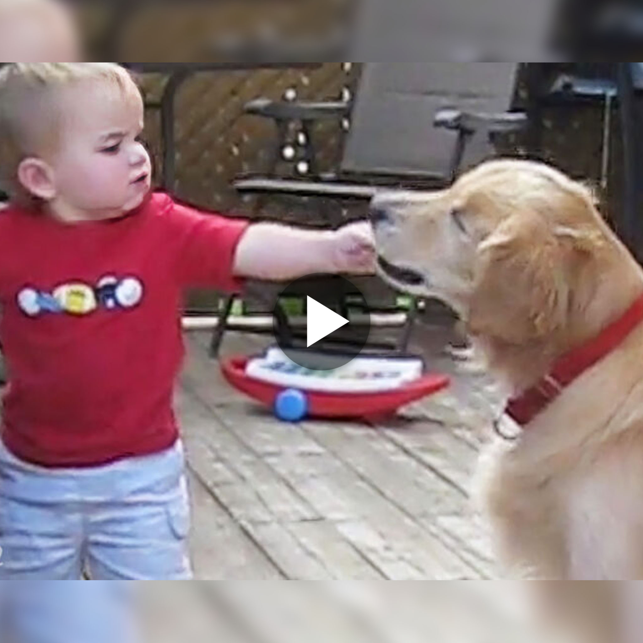 Acts of Kindness: Young Boy Spreads Love by Sharing a Snack with His Blind Dog, Creating a Heartwarming Moment.(Video)