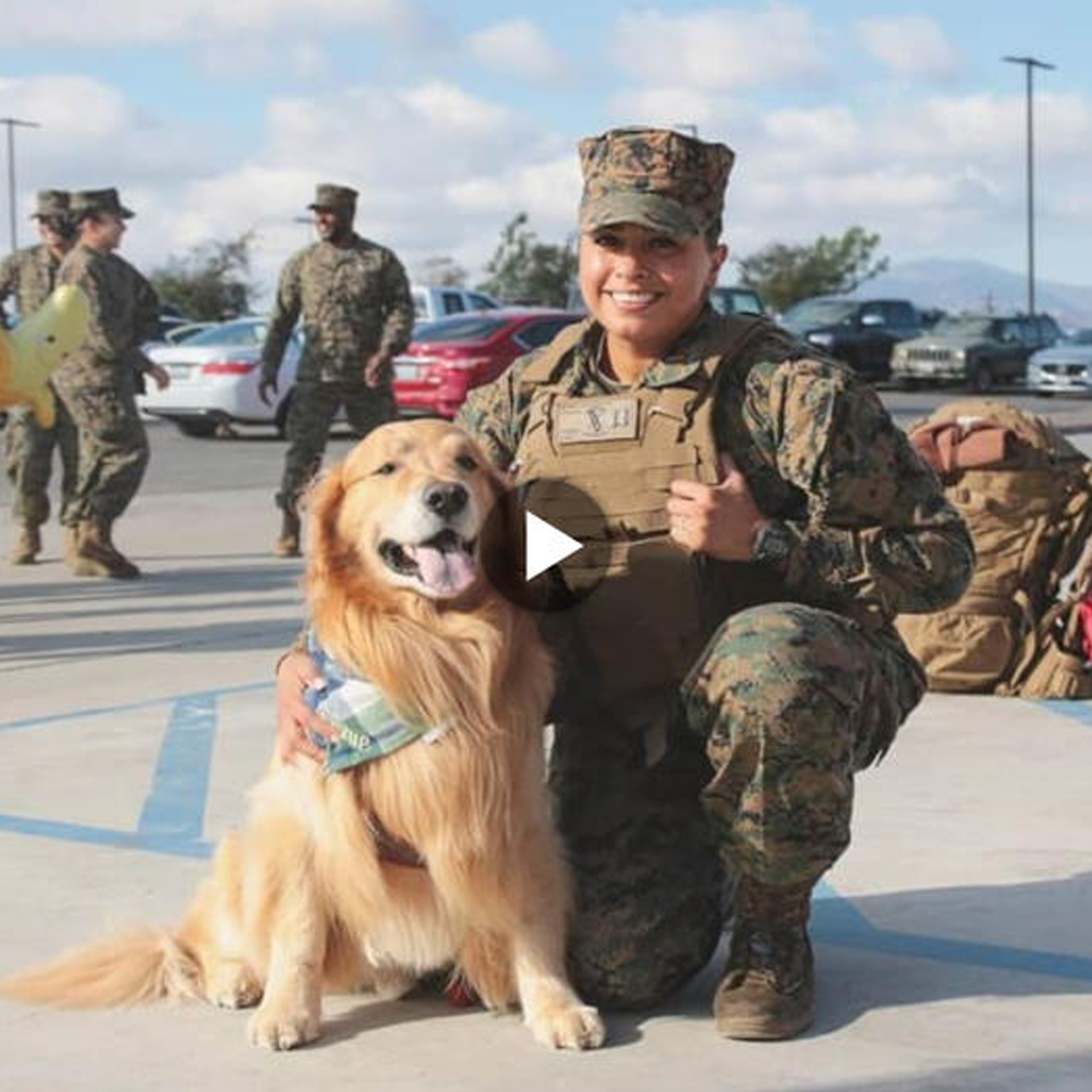 A Marine Mom’s Heartwarming Reunion: Devoted Dog’s Unforgettable Reaction Captures the Essence of Unconditional Love and Joy (Video)