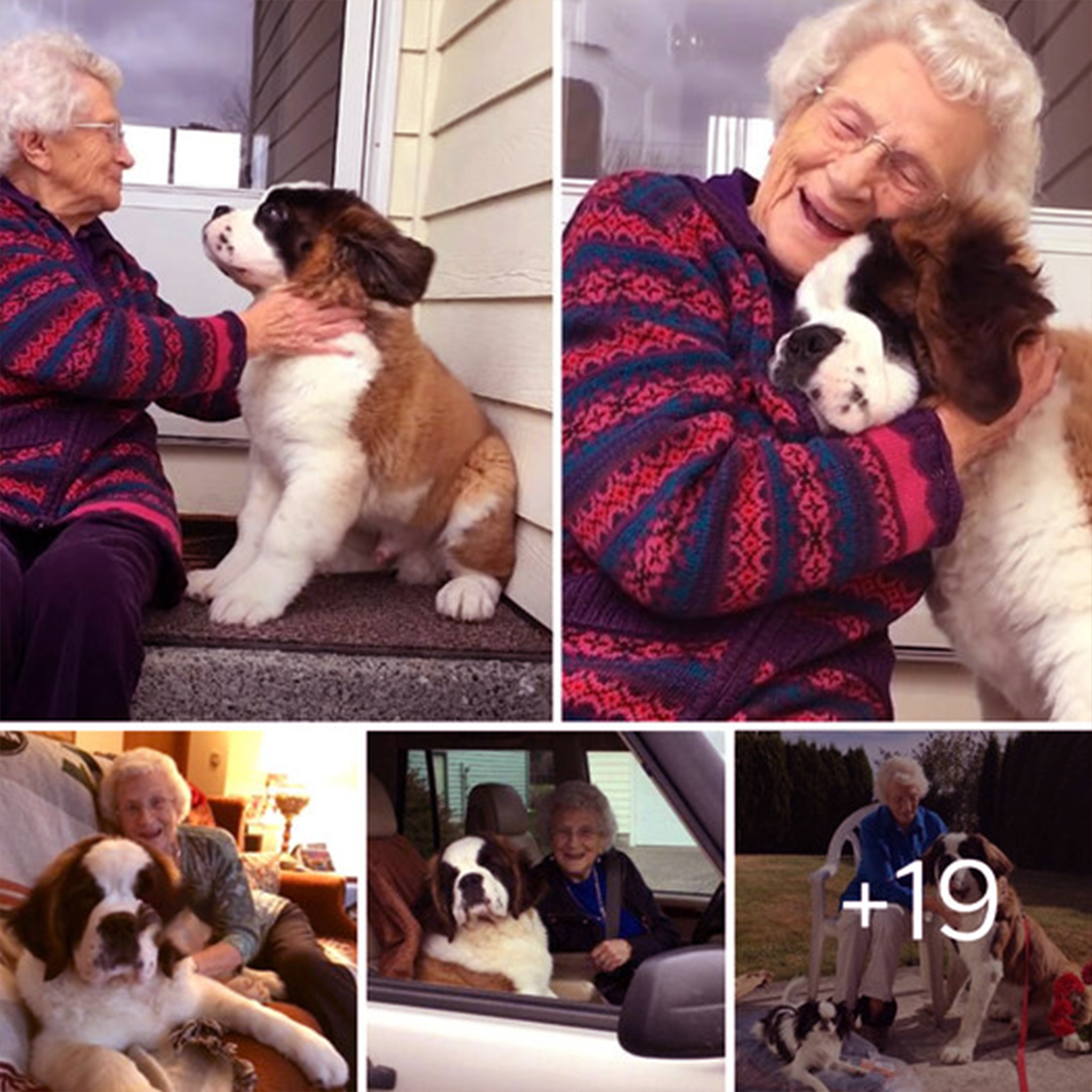 A dog’s heart-warming mission to befriend a lonely widow; thanks to the dog, she had a lot of joy in life (Video) ‎
