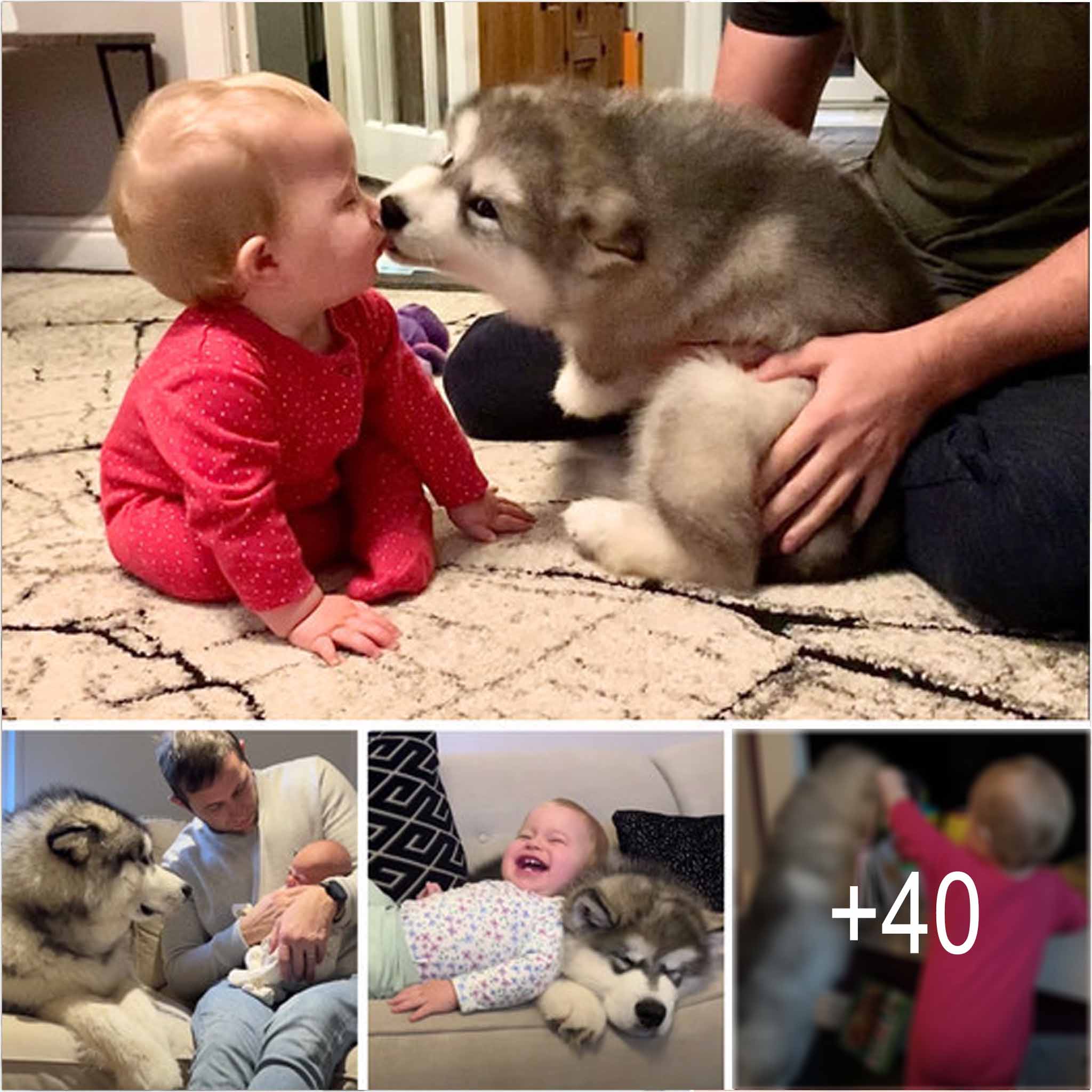 Unbreakable Bonds: Heartwarming Moments Between an Adorable Puppy and a Baby, Fostering a Love-Bound Connection