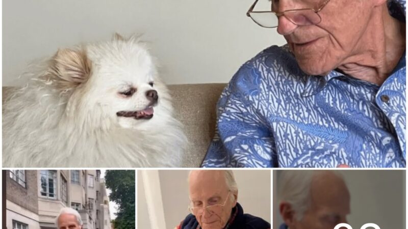 An 86-year-old father who lived a ‘lonely’ life found joy, and a soulmate is going viral on TikTok after his daughter gave him a Pomeranian.