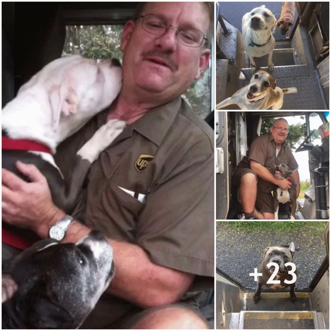 The bus driver has a special relationship with all the dogs on his delivery route.