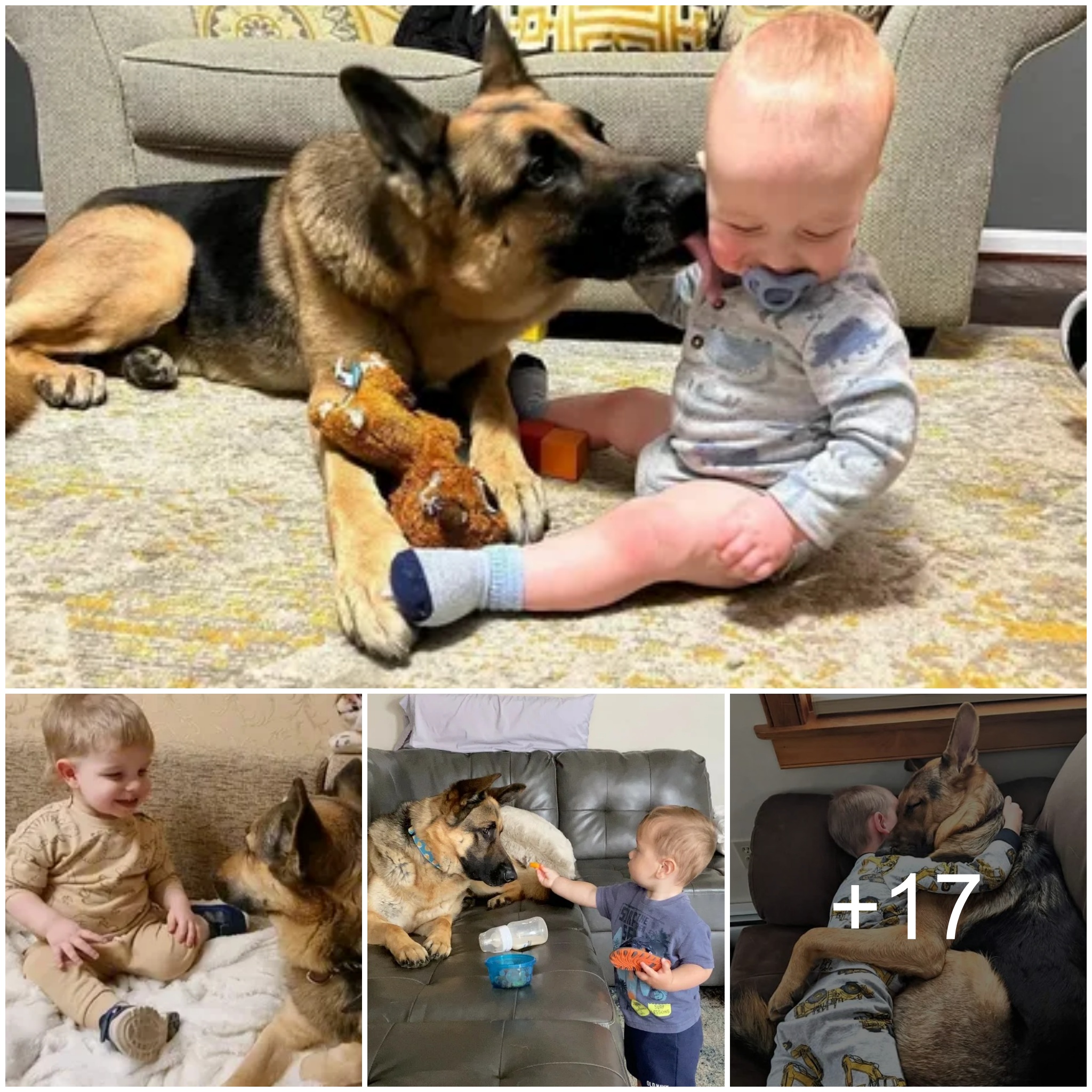 “From Abandoned to Adored: Heartwarming Reunion of Dog and Baby Will Melt Your Heart!”