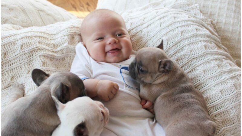 A mother’s heart melts when she sees the special bond between her newborn son and her three dogs.