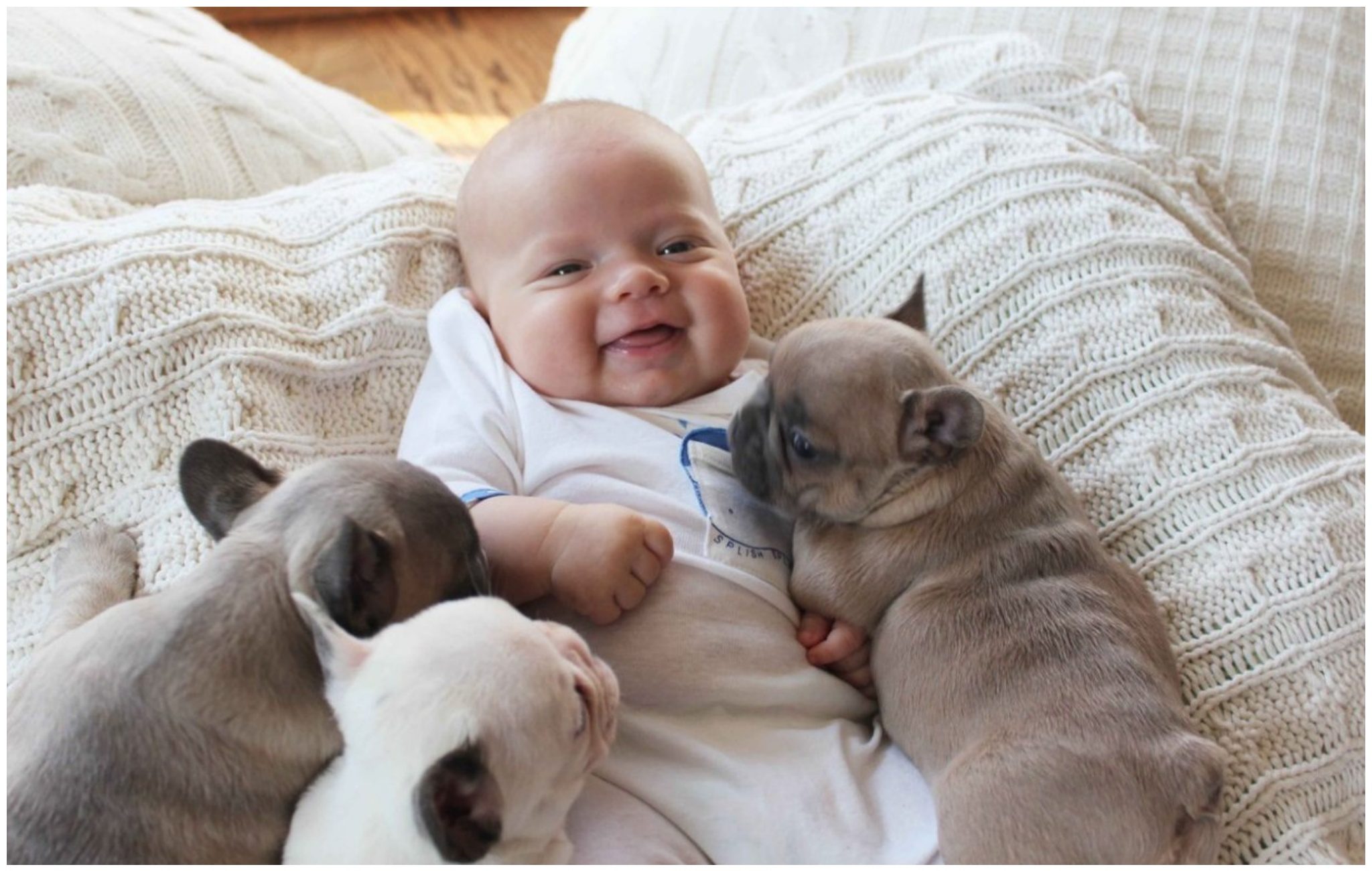 A mother’s heart melts when she sees the special bond between her newborn son and her three dogs.