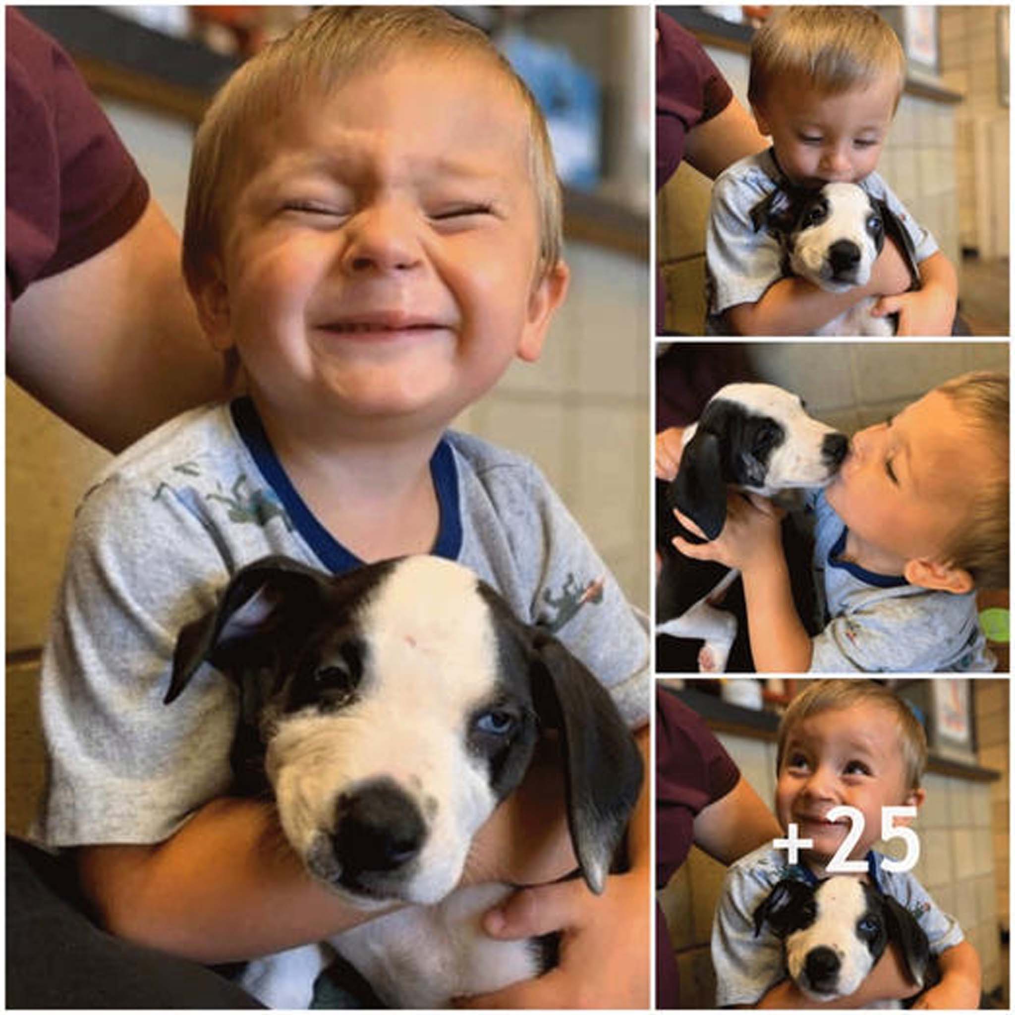 To Discover Optimism and Empathy in Each Other: A Boy with a Cleft Lip Adopts a Dog with a Cleft Lip Like Him.