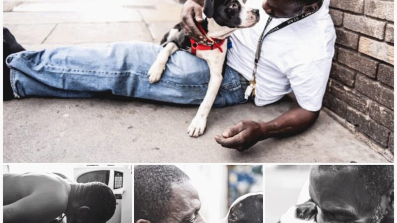 A homeless man shares his life with a dog he met on the streets who ends up being his lifelong best friend.