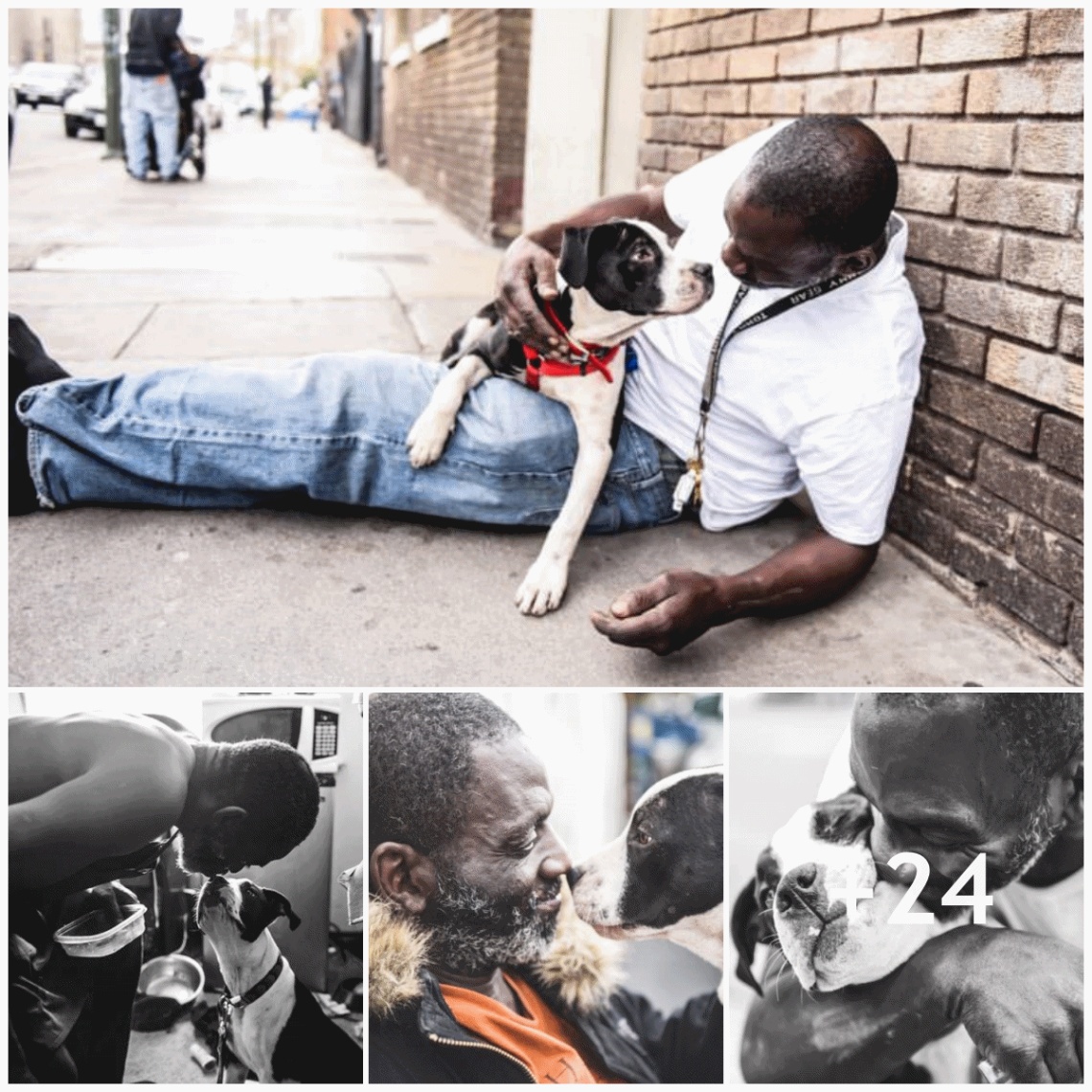 A homeless man shares his life with a dog he met on the streets who ends up being his lifelong best friend.