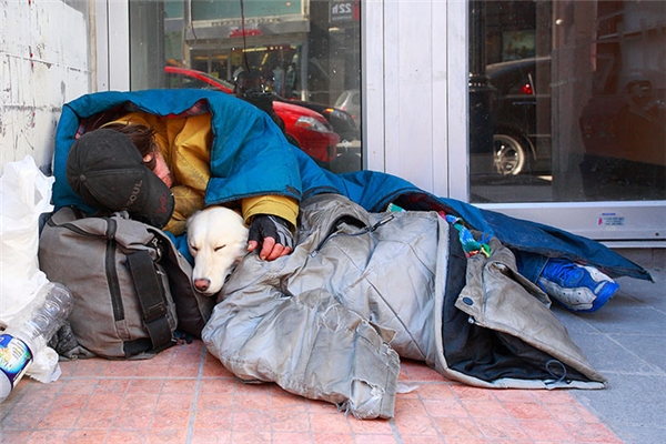“Homeless but Not Alone: For Him, His Dog Is Family, and Together They Triumph Over Life’s Challenges”