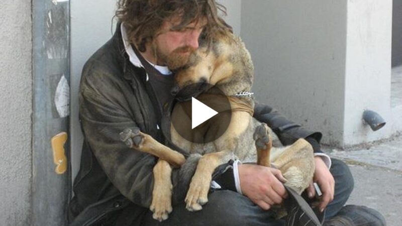 For Him, His Dog Is Family, and Together They Triumph Over Life’s Challenges