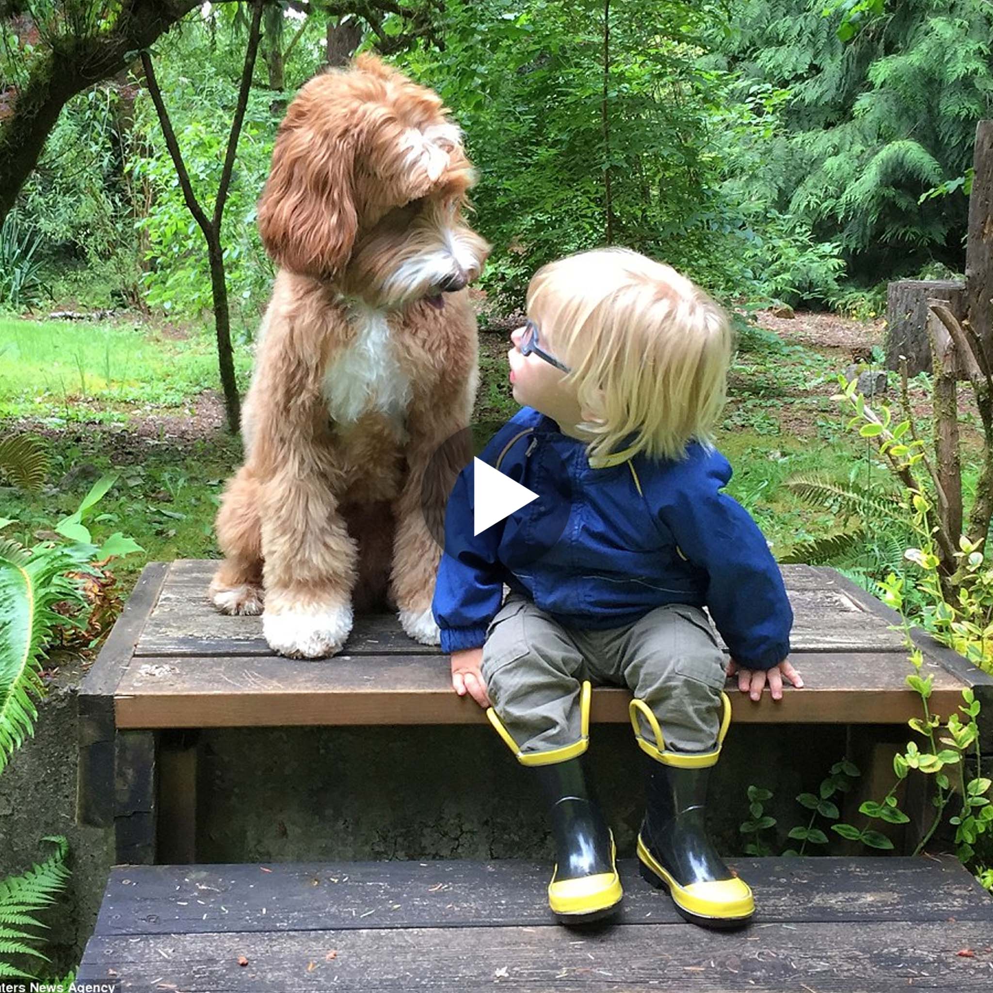 “When a Foster Mother Introduces Her Child to a Dog, an Enchanting Unbreakable Bond Blossoms.”