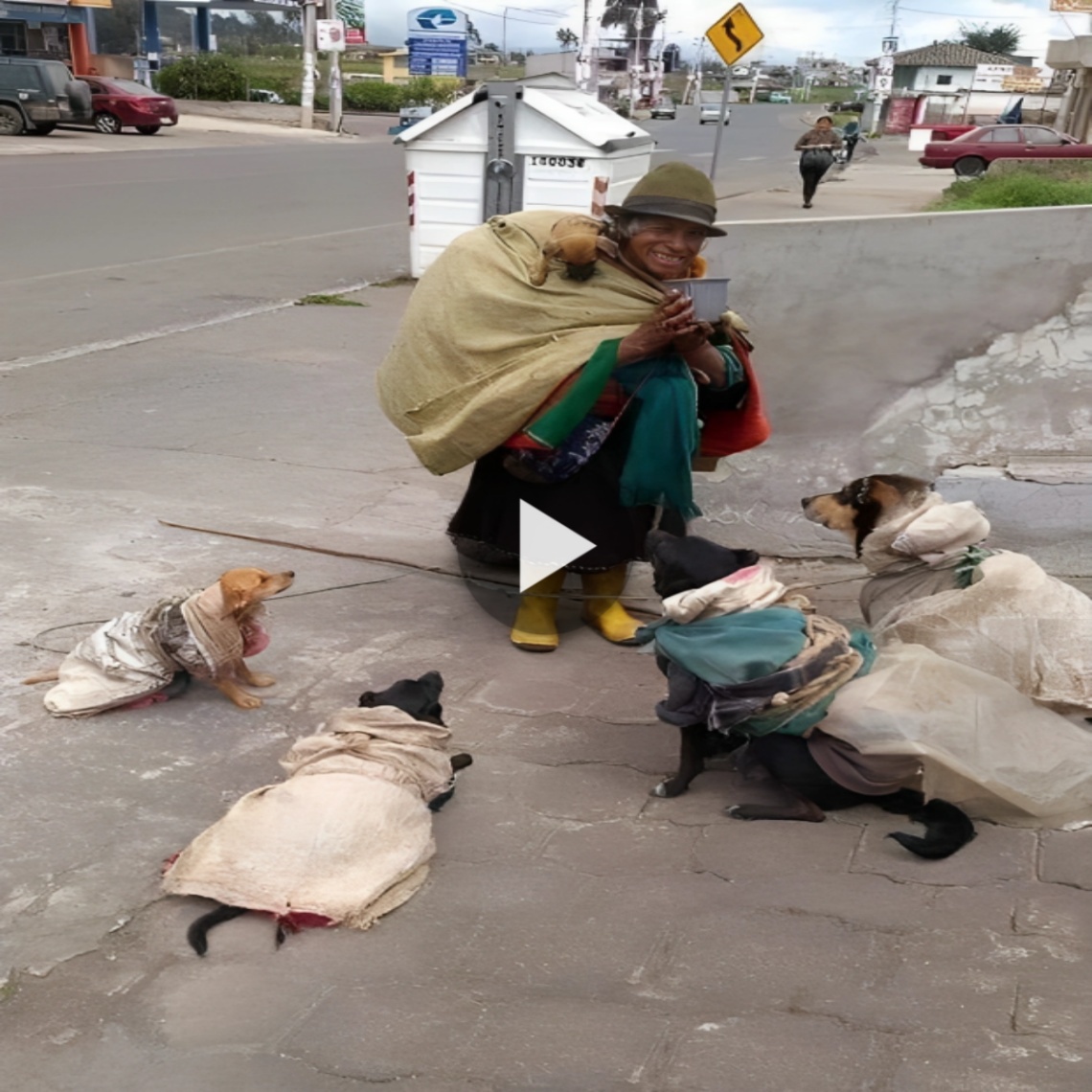 In her hard life, the devoted dogs support their impoverished owner by helping her gather bottles. (Video)