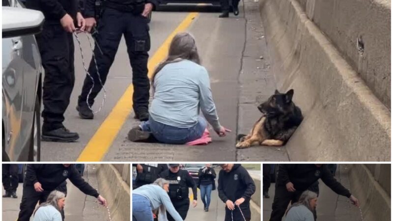 Despite the heavy and dangerous traffic, the woman still tried to rush out to save the abandoned dog curled up on the highway. (VIDEO)