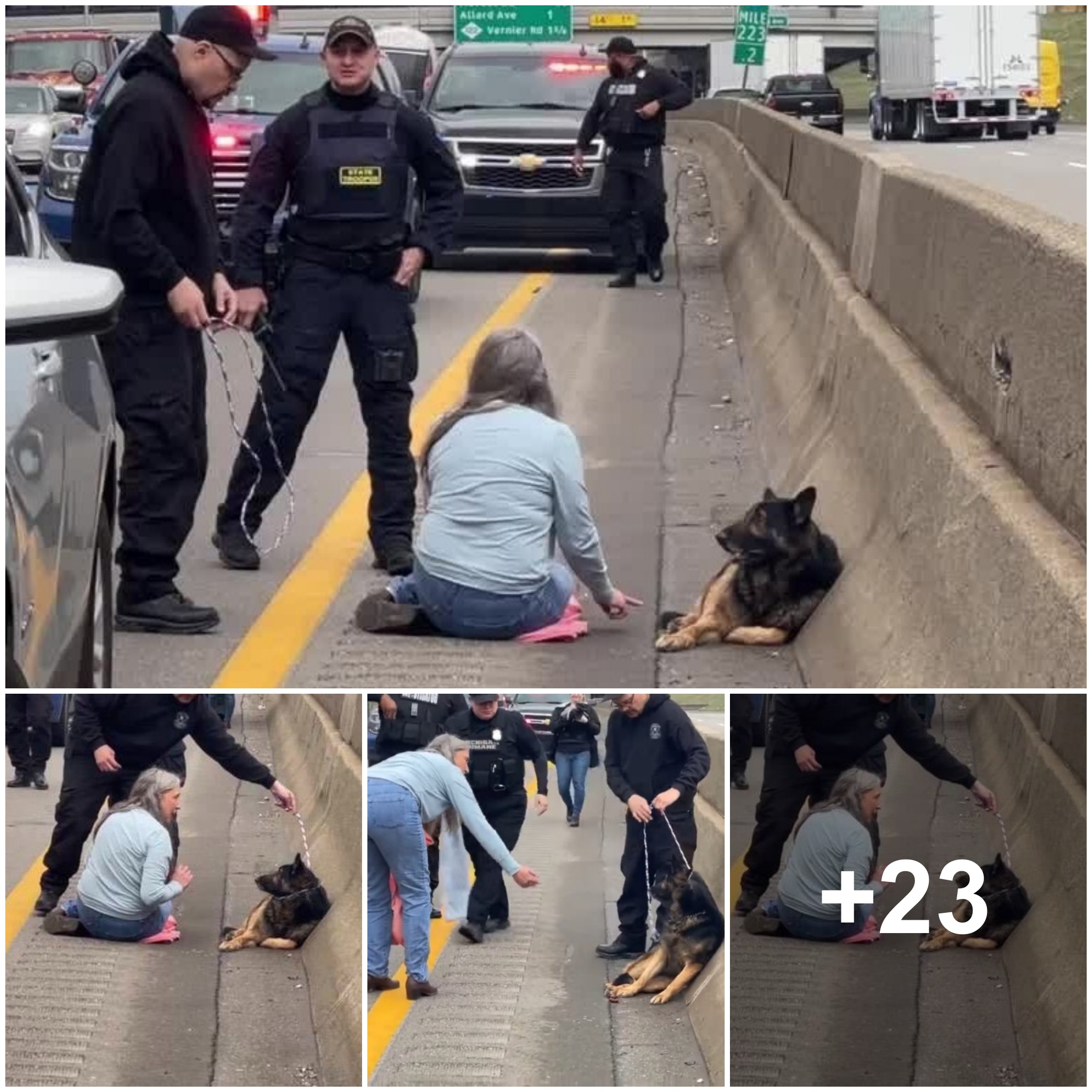 Despite the heavy and dangerous traffic, the woman still tried to rush out to save the abandoned dog curled up on the highway. (VIDEO)