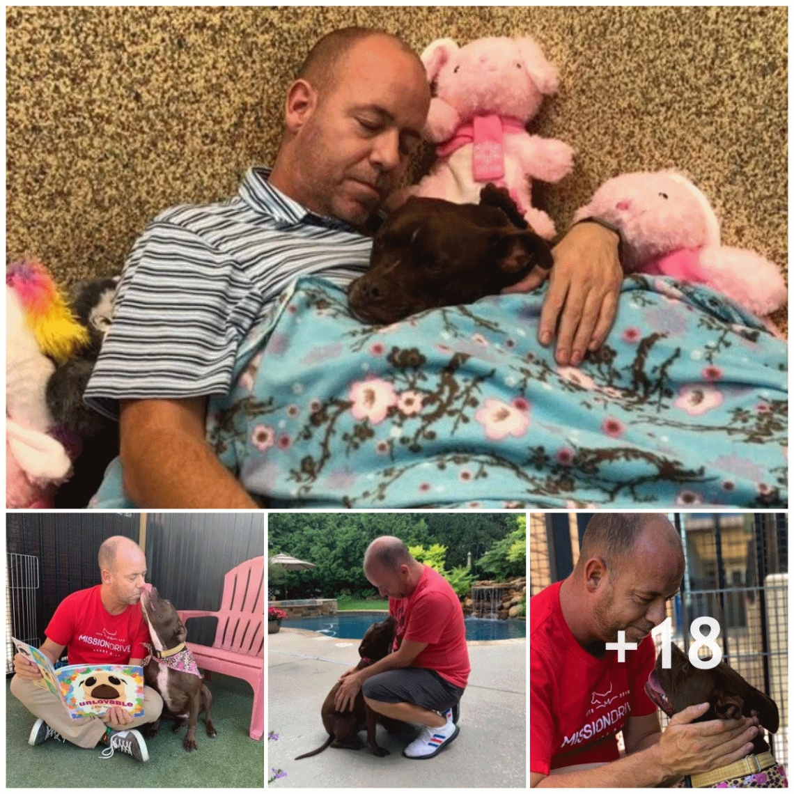 The man went to the animal shelter to overcome his illness with his dog, a friendship that is not afraid of difficulties.