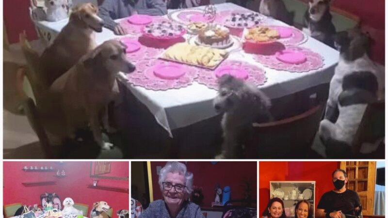 Special guests: The 89-year-old grandmother celebrated her most memorable birthday with her furry friends.