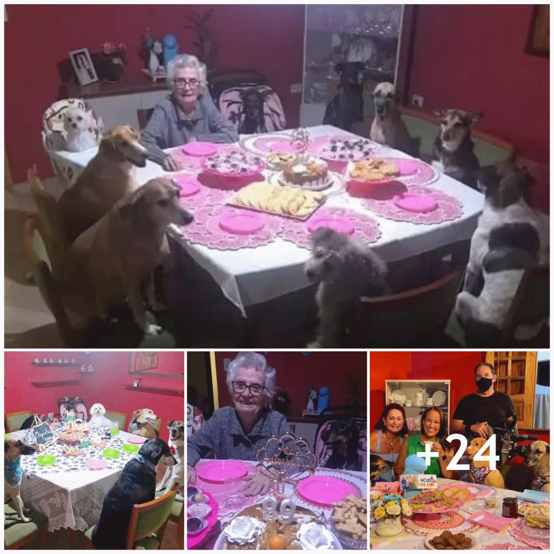 Special guests: The 89-year-old grandmother celebrated her most memorable birthday with her furry friends.