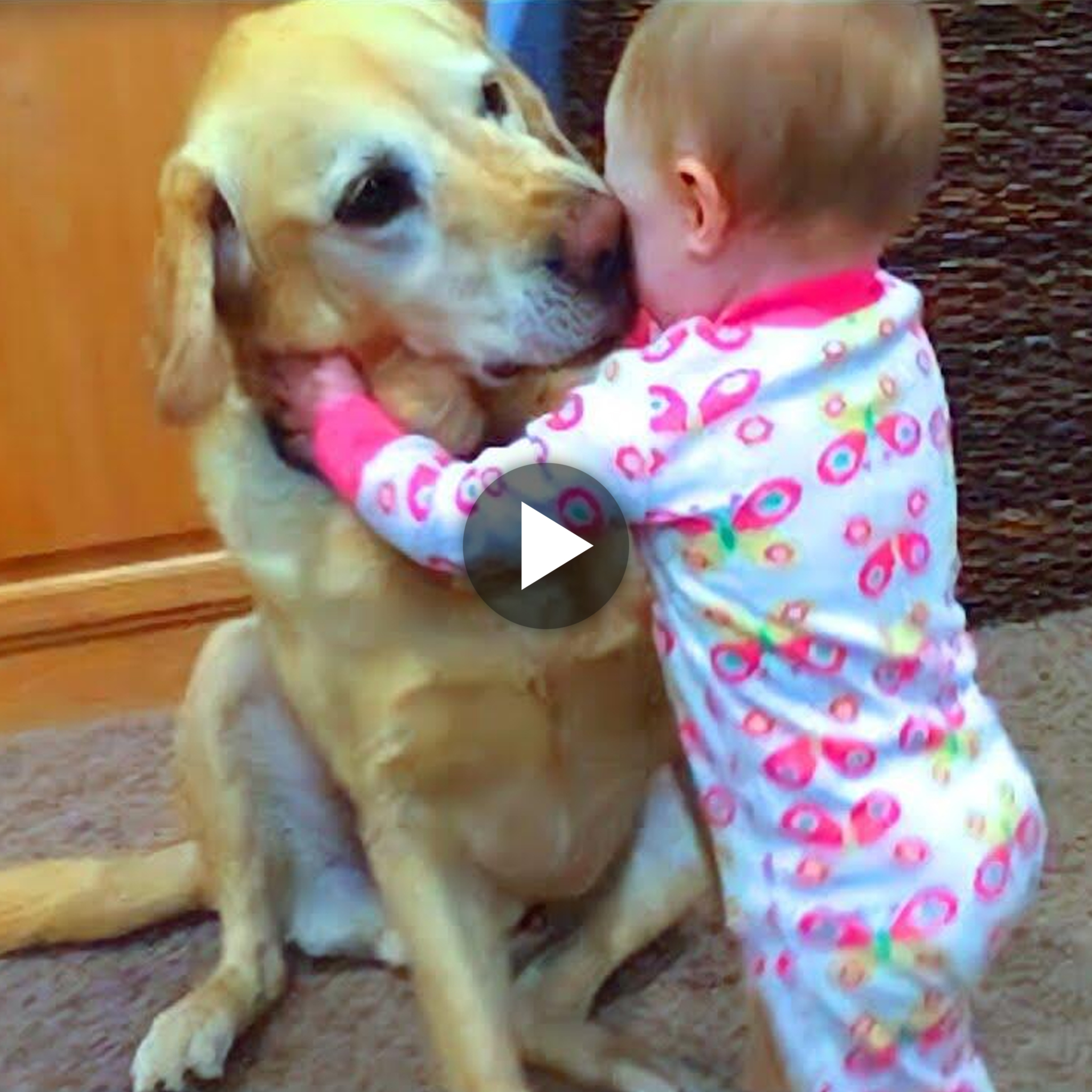 In a touching moment, the adorable dog gives the crying child a tender hug that is as consoling as the gentle sound of unconditional love.