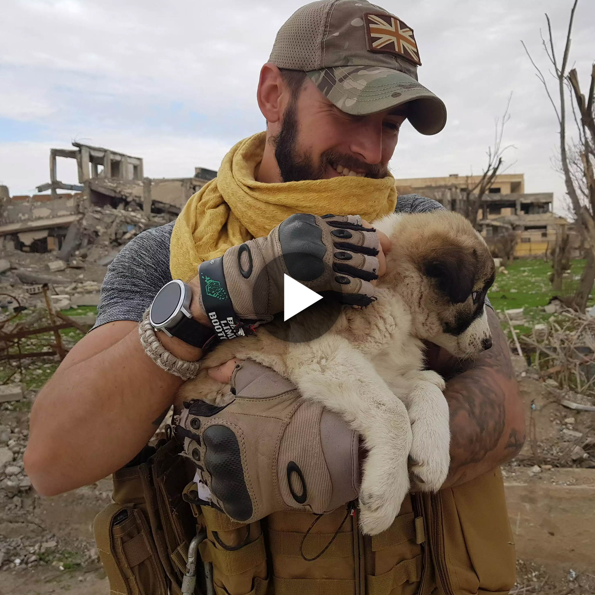 Finally, a lost puppy who has been searching for a hero meets him after traveling 5,000 kilometers to a military base in pursuit of a soldier. ‎